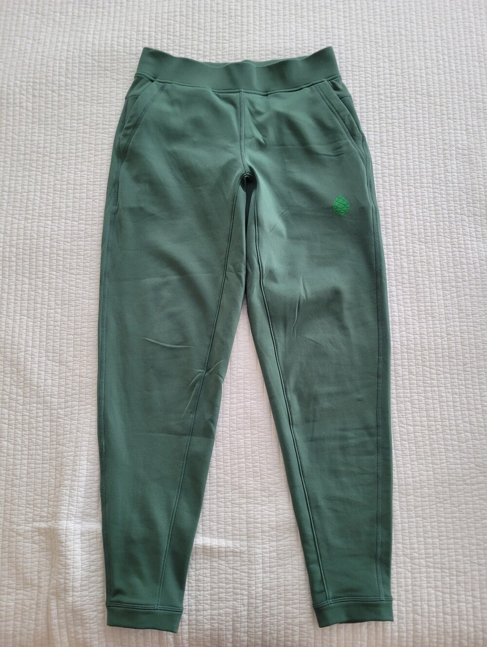 Stio Fleece Lined Jogger Pants